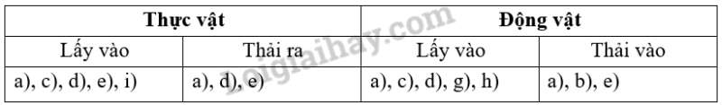 Khoa học tự nhiên 7 Bài tập chủ đề 8 trang 128 | KHTN 7 Cánh diều (ảnh 2)