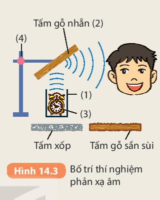 Khoa học tự nhiên 7 Bài 14: Phản xạ âm, chống ô nhiễm tiếng ồn | KHTN 7 Kết nối tri thức (ảnh 2)