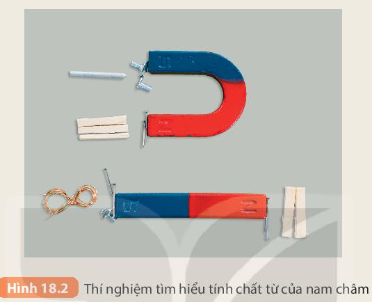 Khoa học tự nhiên 7 Bài 18: Nam châm | KHTN 7 Kết nối tri thức (ảnh 2)