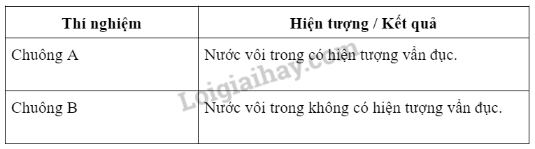 Khoa học tự nhiên 7 Bài 27: Thực hành: Hô hấp tế bào ở thực vật | KHTN 7 Kết nối tri thức (ảnh 2)