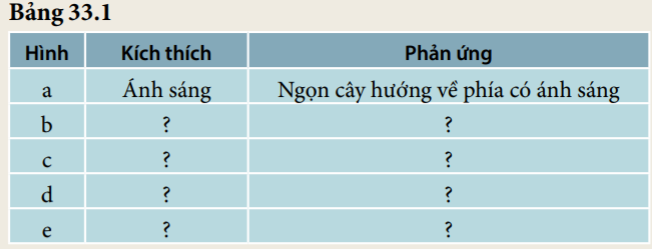 Khoa học tự nhiên 7 Bài 33: Cảm ứng ở sinh vật và tập tính ở động vật | KHTN 7 Kết nối tri thức (ảnh 2)