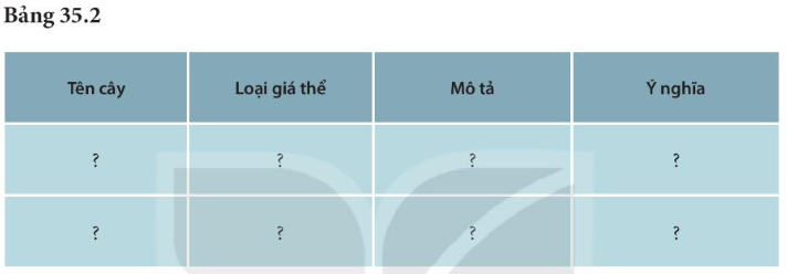 Khoa học tự nhiên 7 Bài 35: Thực hành: Cảm ứng ở sinh vật | KHTN 7 Kết nối tri thức (ảnh 2)