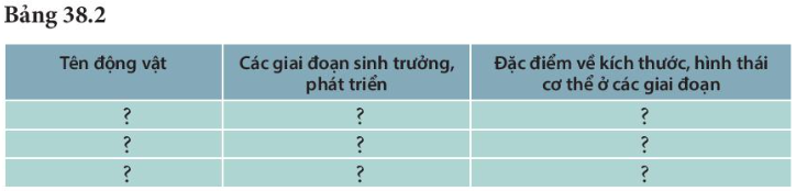 Khoa học tự nhiên 7 Bài 38: Thực hành: quan sát, mô tả sự sinh trưởng và phát triển ở một số loài sinh vật | KHTN 7 Kết nối tri thức (ảnh 2)