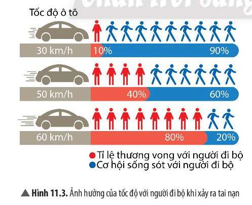 Khoa học tự nhiên 7 Bài 11: Tốc độ và an toàn giao thông | KHTN 7 Chân trời sáng tạo (ảnh 2)