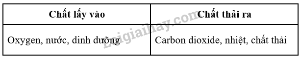 Khoa học tự nhiên 7 Bài 22: Vai trò của trao đổi chất và chuyển hóa năng lượng ở sinh vật | KHTN 7 Chân trời sáng tạo (ảnh 2)