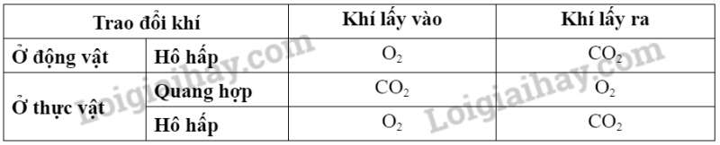 Khoa học tự nhiên 7 Bài 18: Nam châm | KHTN 7 Chân trời sáng tạo (ảnh 2)