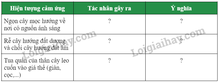 Khoa học tự nhiên 7 Bài 32: Cảm ứng ở sinh vật | KHTN 7 Chân trời sáng tạo (ảnh 2)