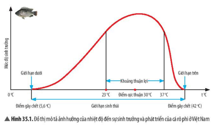 Khoa học tự nhiên 7 Bài 35: Các nhân tố ảnh hưởng đến sinh trưởng và phát triển ở sinh vật | KHTN 7 Chân trời sáng tạo (ảnh 1)