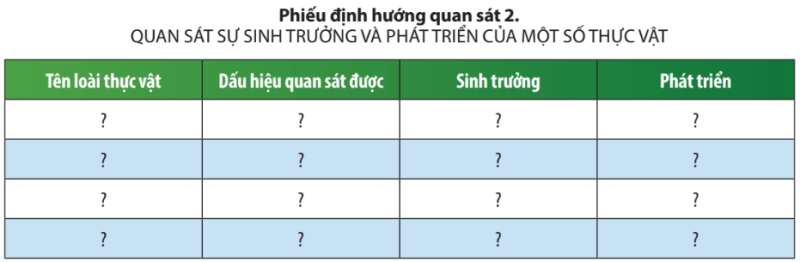 Khoa học tự nhiên 7 Bài 36: Thực hành chứng minh sinh trưởng và phát triển ở thực vật, động vật | KHTN 7 Chân trời sáng tạo (ảnh 2)