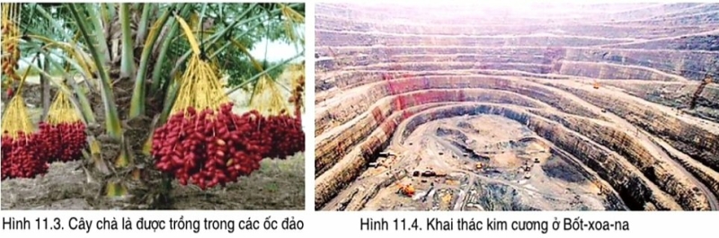 Địa lí 7 Bài 11: Phương thức con người khai thác, sử dụng và bảo vệ thiên nhiên | Cánh diều (ảnh 5)