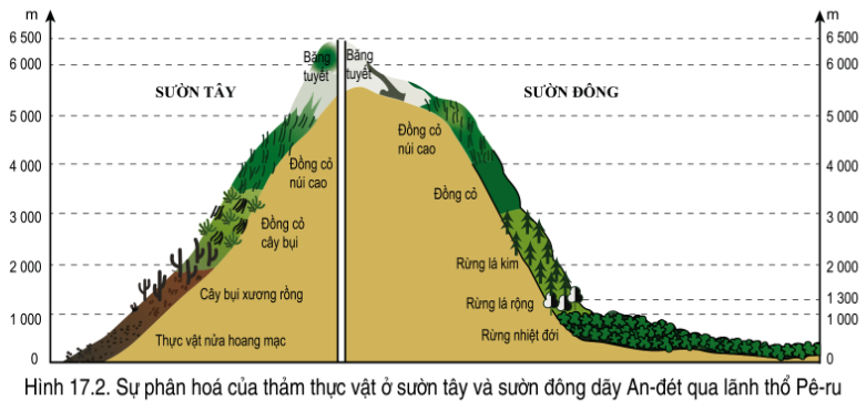 Địa lí 7 Bài 17: Đặc điểm tự nhiên Trung và Nam Mỹ | Cánh diều (ảnh 3)