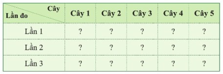 Lý thuyết Khoa học tự nhiên 7 Bài 30: Sinh trưởng và phát triển ở thực vật - Cánh diều (ảnh 1)