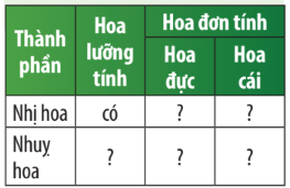 Khoa học tự nhiên 7 Bài 37: Sinh sản ở sinh vật | KHTN 7 Chân trời sáng tạo (ảnh 31)