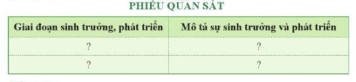 Lý thuyết Khoa học tự nhiên 7 Bài 31: Sinh trưởng và phát triển ở động vật - Cánh diều (ảnh 1)