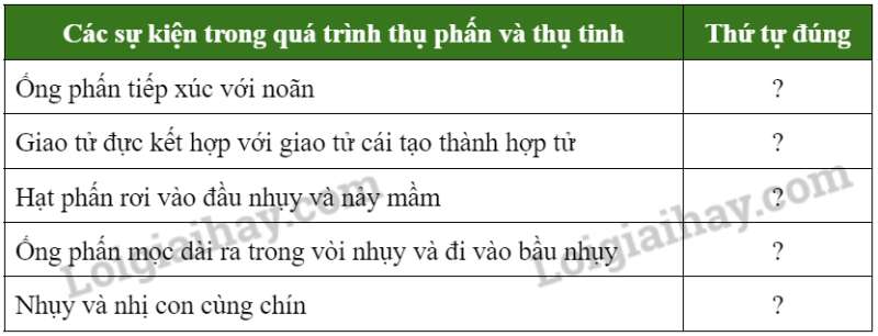 Khoa học tự nhiên 7 Bài 37: Sinh sản ở sinh vật | KHTN 7 Chân trời sáng tạo (ảnh 34)