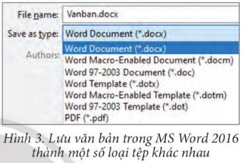 Tin học 7 Bài 4: Phân loại tệp và bảo vệ dữ liệu trong máy tính | Chân trời sáng tạo (ảnh 4)