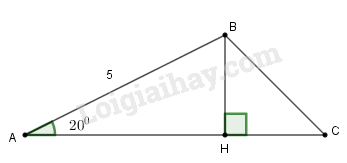 SBT Toán 9 Bài 4: Một số hệ thức về cạnh và góc trong tam giác vuông | Giải SBT Toán lớp 9 (ảnh 7)