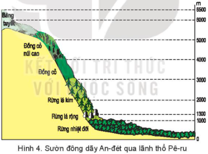 Dựa vào thông tin và quan sát hình 4 trong mục 3, hãy: Kể tên các đai thực vật theo chiều cao (ảnh 1)