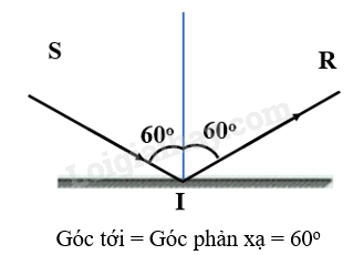 Khoa học tự nhiên 7 Bài tập Chủ đề 6 trang 75 | KHTN 7 Cánh diều (ảnh 3)