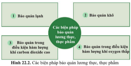 Khoa học tự nhiên 7 Bài 22: Các yếu tố ảnh hưởng đến hô hấp tế bào | KHTN 7 Cánh diều (ảnh 3)