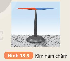 Khoa học tự nhiên 7 Bài 18: Nam châm | KHTN 7 Kết nối tri thức (ảnh 3)