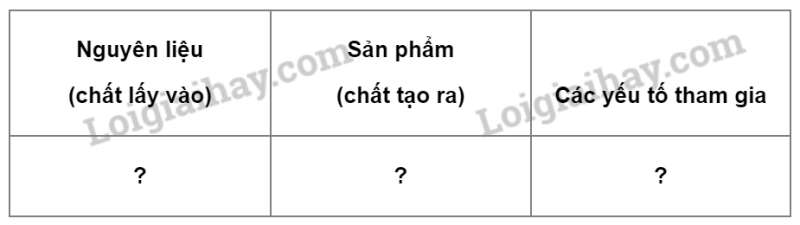 Khoa học tự nhiên 7 Bài 22: Quang hợp ở thực vật | KHTN 7 Kết nối tri thức (ảnh 3)