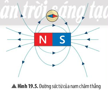 Khoa học tự nhiên 7 Bài 19: Từ trường | KHTN 7 Chân trời sáng tạo (ảnh 4)