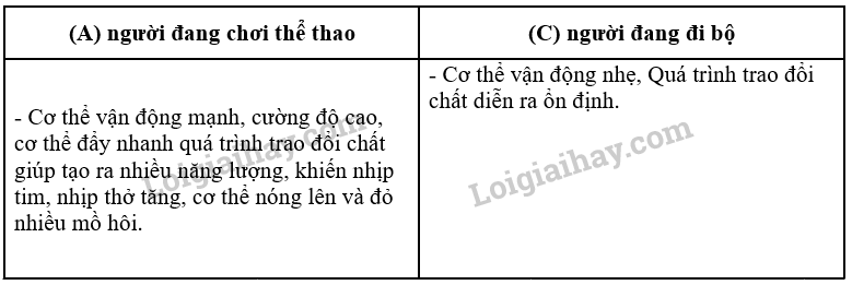 Khoa học tự nhiên 7 Bài 22: Vai trò của trao đổi chất và chuyển hóa năng lượng ở sinh vật | KHTN 7 Chân trời sáng tạo (ảnh 3)