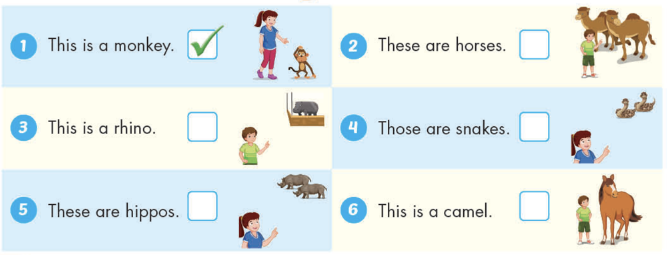 Giải SGK Tiếng Anh lớp 4 Unit 1: Animals | iLearn Smart Start (ảnh 4)