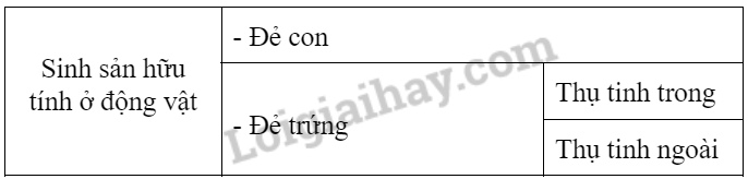 Khoa học tự nhiên 7 Bài 37: Sinh sản ở sinh vật | KHTN 7 Chân trời sáng tạo (ảnh 42)