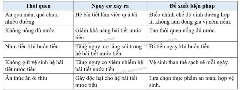 Giải SGK Khoa học tự nhiên 8 Bài 35 (Kết nối tri thức): Hệ bài tiết ở người (ảnh 3)