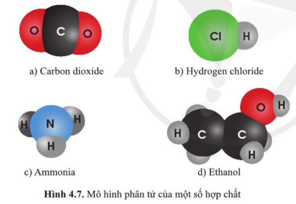 Lý thuyết Khoa học tự nhiên 7 Bài 4: Phân tử, đơn chất, hợp chất - Cánh diều  (ảnh 1)