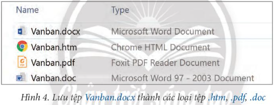 Tin học 7 Bài 4: Phân loại tệp và bảo vệ dữ liệu trong máy tính | Chân trời sáng tạo (ảnh 5)