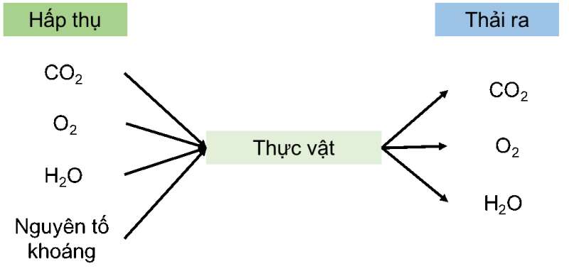 Khoa học tự nhiên 7 Bài tập chủ đề 8 trang 128 | KHTN 7 Cánh diều (ảnh 4)