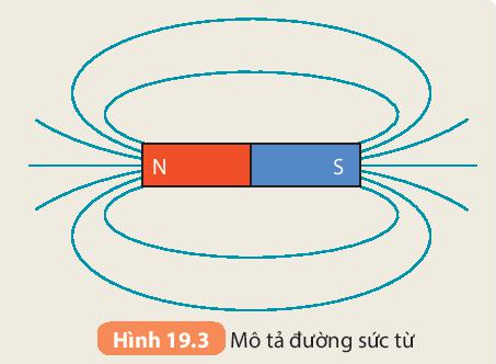 Khoa học tự nhiên 7 Bài 19: Từ trường | KHTN 7 Kết nối tri thức (ảnh 4)