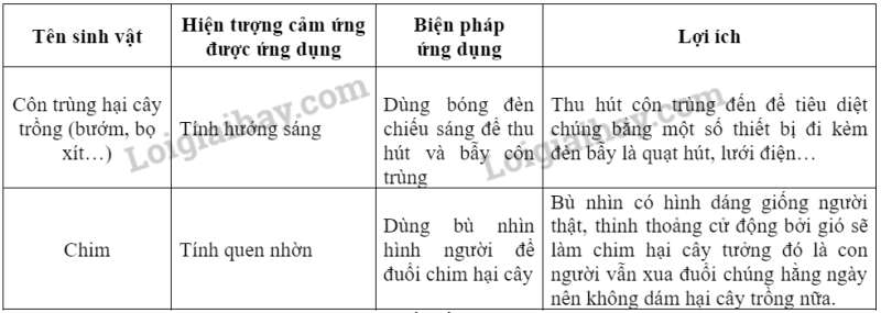 Khoa học tự nhiên 7 Bài 34: Vận dụng hiện tượng cảm ứng ở sinh vật vào thực tiễn | KHTN 7 Kết nối tri thức (ảnh 4)