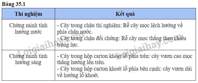 Khoa học tự nhiên 7 Bài 35: Thực hành: Cảm ứng ở sinh vật | KHTN 7 Kết nối tri thức (ảnh 4)