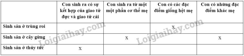 Khoa học tự nhiên 7 Bài 39: Sinh sản vô tính ở sinh vật | KHTN 7 Kết nối tri thức (ảnh 4)