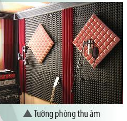 Khoa học tự nhiên 7 Bài 14: Phản xạ âm | KHTN 7 Chân trời sáng tạo (ảnh 4)