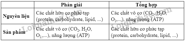 Khoa học tự nhiên 7 Bài 25: Hô hấp tế bào | KHTN 7 Chân trời sáng tạo (ảnh 4)