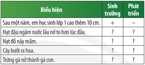 Khoa học tự nhiên 7 Bài 34: Sinh trưởng và phát triển ở sinh vật | KHTN 7 Chân trời sáng tạo (ảnh 4)