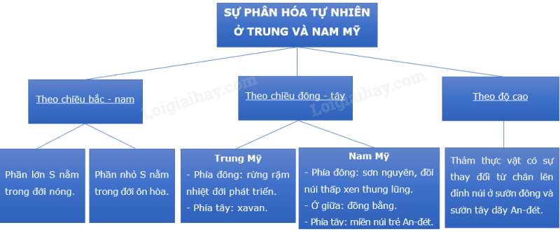 Địa lí 7 Bài 17: Đặc điểm tự nhiên Trung và Nam Mỹ | Cánh diều (ảnh 5)