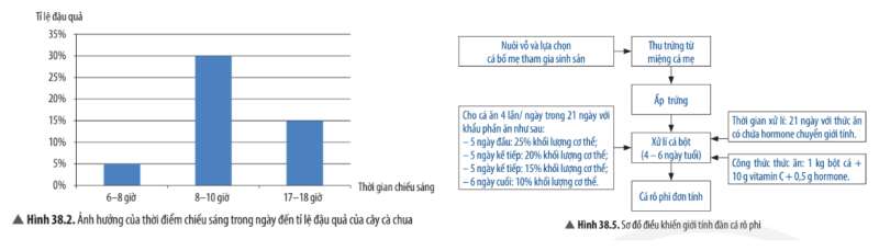 Khoa học tự nhiên 7 Bài 38: Các yếu tố ảnh hưởng đến sinh sản và điều hoà, điều khiển sinh sản ở sinh vật | KHTN 7 Chân trời sáng tạo (ảnh 4)