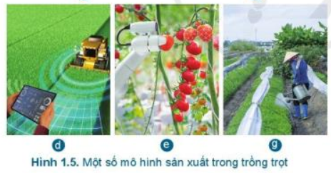 Lý thuyết Công Nghệ 7 Bài 1: Giới thiệu chung về trồng trọt - Kết nối tri thức (ảnh 1)