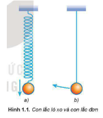 Giải SGK Vật lí 11 Bài 1 (Kết nối tri thức): Dao động điều hòa (ảnh 2)