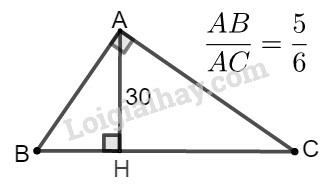 SBT Toán 9 Bài 1: Một số hệ thức về cạnh và đường cao trong tam giác vuông | Giải SBT Toán lớp 9 (ảnh 4)