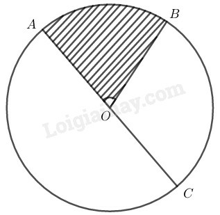 SBT Toán 9 Bài 1: Góc ở tâm. Số đo cung | Giải SBT Toán lớp 9 (ảnh 8)