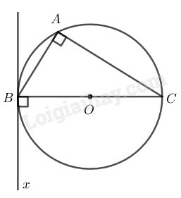 SBT Toán 9 Bài 4: Góc tạo bởi tia tiếp tuyến và dây cung | Giải SBT Toán lớp 9 (ảnh 7)