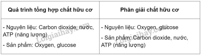 Khoa học tự nhiên 7 Bài 21: Hô hấp tế bào | KHTN 7 Cánh diều (ảnh 6)