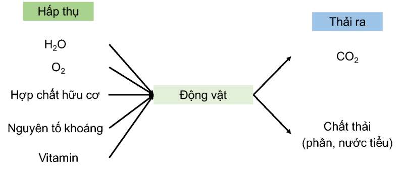 Khoa học tự nhiên 7 Bài tập chủ đề 8 trang 128 | KHTN 7 Cánh diều (ảnh 5)